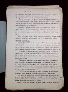 naiananu_petrov_196_13