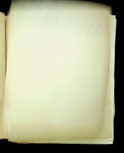 naiananu_petrov_266_2_04