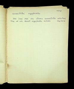 naiananu_petrov_266_2_45