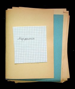 naiananu_petrov_266_6_03