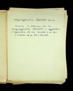 naiananu_petrov_266_6_28