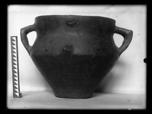 naiananu_petrov_negatives_133_01