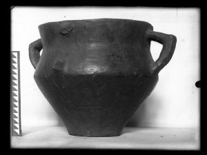 naiananu_petrov_negatives_133_02