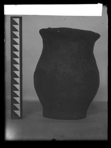naiananu_petrov_negatives_133_03