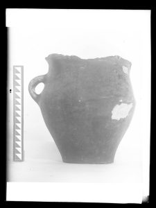 naiananu_petrov_negatives_133_04