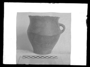 naiananu_petrov_negatives_133_05