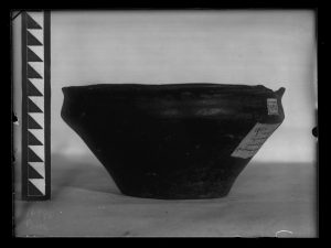 naiananu_petrov_negatives_133_06
