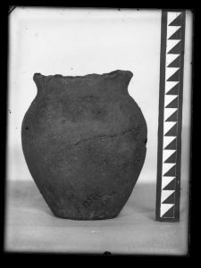 naiananu_petrov_negatives_133_07