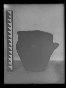 naiananu_petrov_negatives_133_08