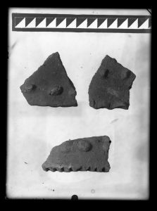 naiananu_petrov_negatives_133_09