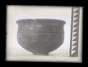 naiananu_petrov_negatives_144_03