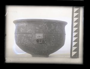 naiananu_petrov_negatives_144_04