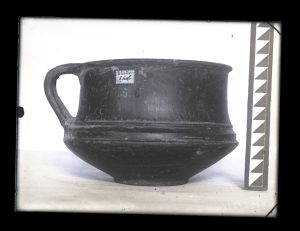 naiananu_petrov_negatives_144_11