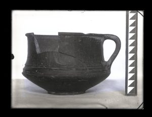 naiananu_petrov_negatives_144_12