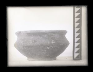 naiananu_petrov_negatives_144_13