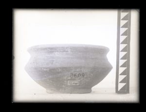 naiananu_petrov_negatives_144_14